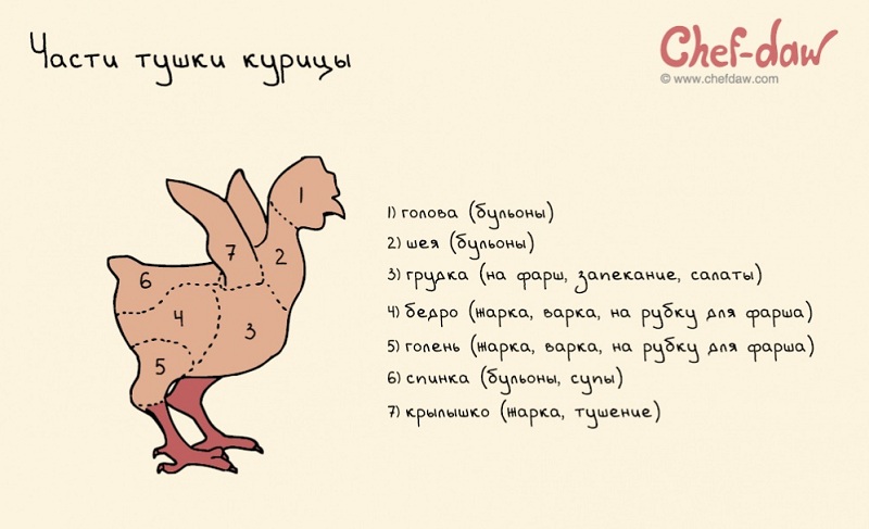 20 полезных шпаргалок, которые стоит использовать всем, кто готовит.