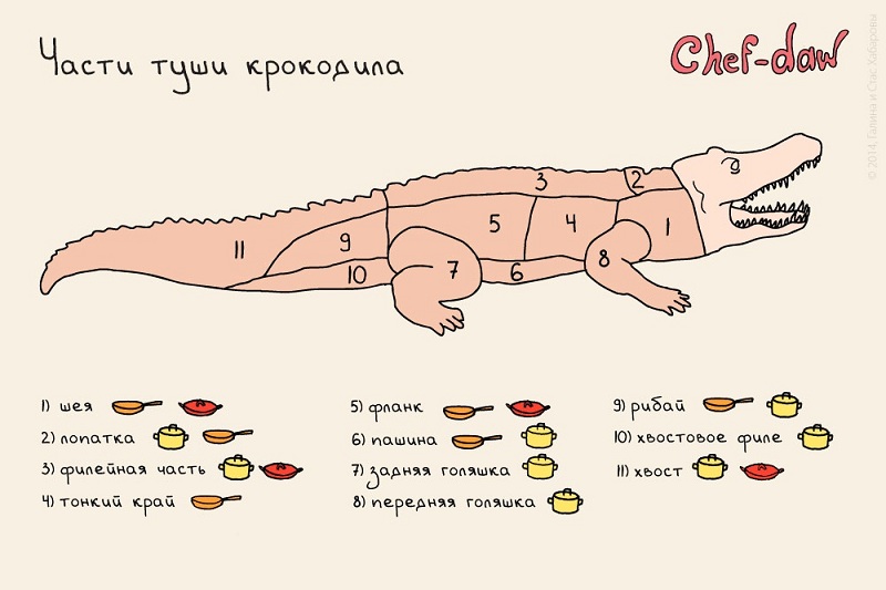 20 полезных шпаргалок, которые стоит использовать всем, кто готовит.