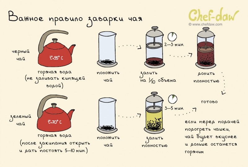 20 полезных шпаргалок, которые стоит использовать всем, кто готовит.