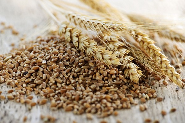 Меню для идеального пищеварения: 10 продуктов, которые хорошо бы есть почаще.