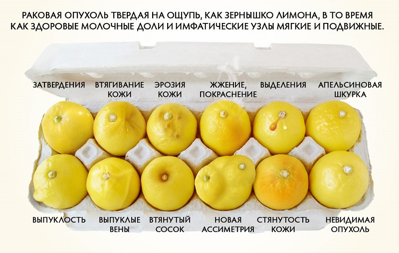 Эти 6 продуктов способны предотвратить рак молочной железы! Лучшая профилактика, известная мне…