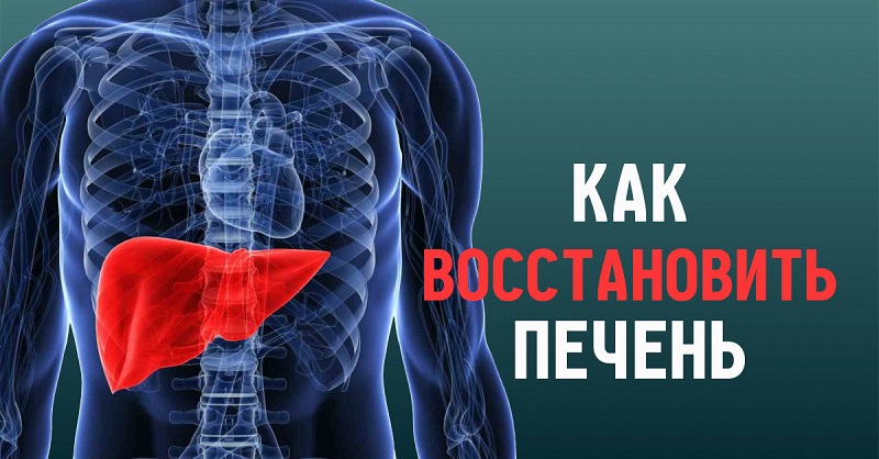 Чтобы печень была как новая! 12 самых лучших блюд, которые восстанавливают… 12 лучших друзей самого важного органа.