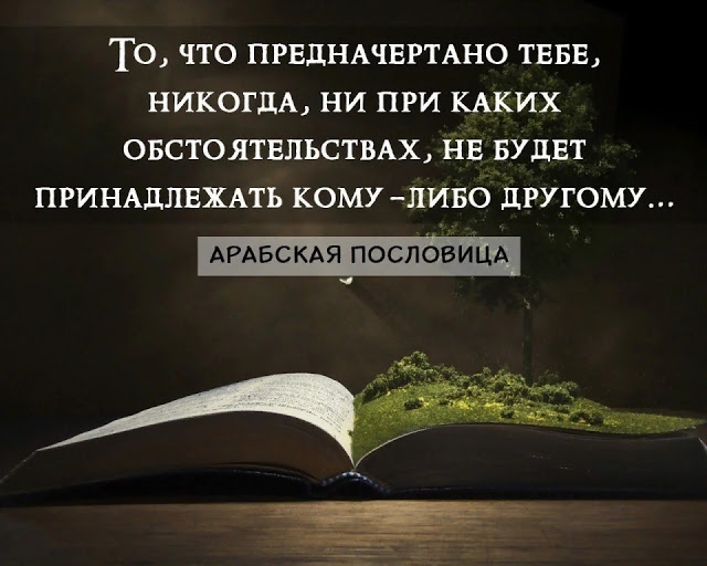 Мудрая арабская пословица, адресованная женщинам, несчастным в личной жизни