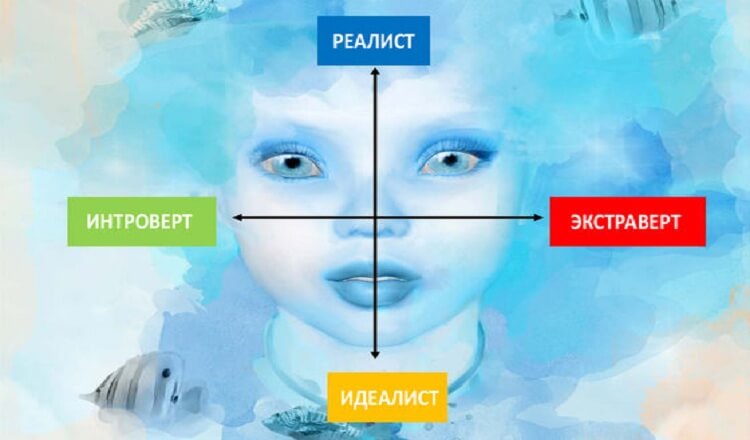 Личность человека бывает 4 разных типов. Какая у вас?