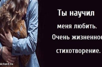 Ты научил меня любить. Очень жизненное стихотворение.