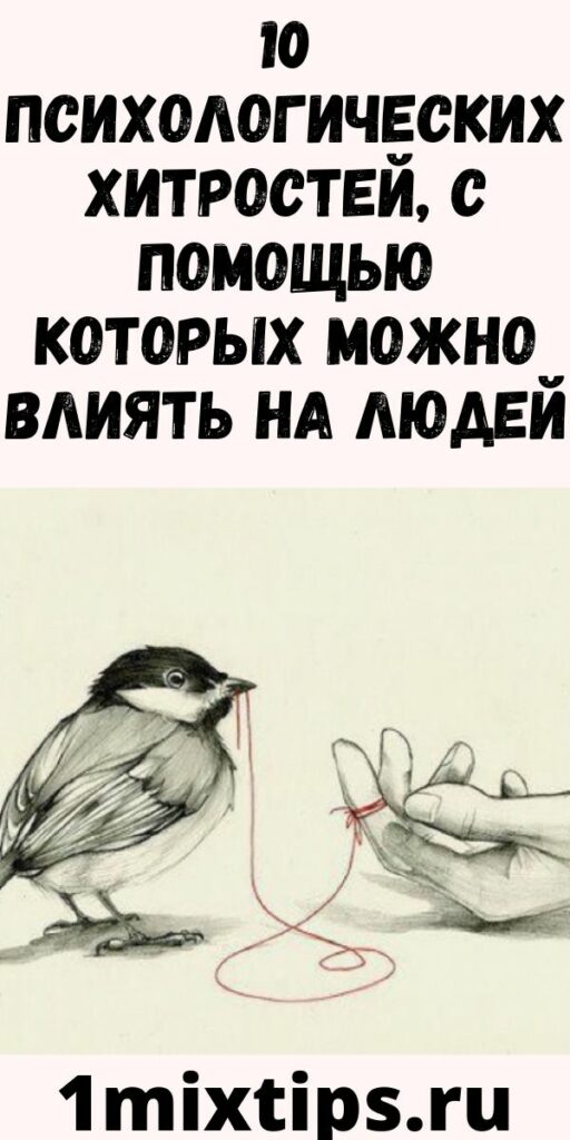 10 психологических хитростей, с помощью которых можно влиять на людей