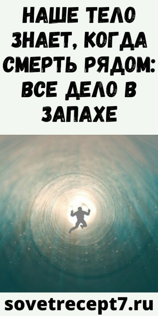 Наше тело знает, когда смерть рядом: все дело в запахе