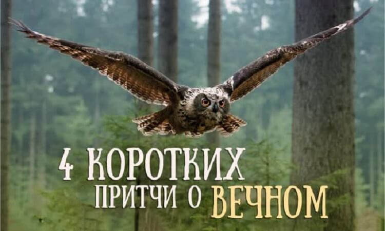 КРАТКОЙ МУДРОСТИ ПОСТ — 4 КОРОТКИХ ПРИТЧИ