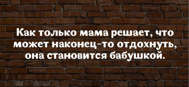 17 юмористических высказываний о жизни женщины 17 юмористических высказываний о жизни женщины