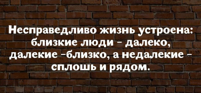 17 юмористических высказываний о жизни женщины 17 юмористических высказываний о жизни женщины